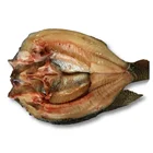 good quality Frozen live tilapia butterfly fish for sale