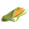 /product-detail/argentine-high-quality-yellow-corn-for-animal-feed-62003516409.html