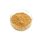 Best Quality Rongsheng Pure Opuntia Cactus Extract Powder