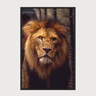 Home decor 3d lion head picture Wall Art Custom Framed Canvas Prints