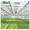 /product-detail/gt-double-layer-polypropylene-plastic-film-greenhouse-garden-tunnel-greenhouse-for-sale-62232249731.html