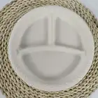 Disposable Party Plates Party Disposable Plates Biodegradable 3 Compartment Disposable Party Plates