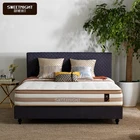 New design hard sponge sleepwell king size mattress encasement price