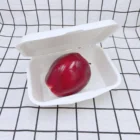Eco Biodegradable Disposable Sugarcane Bagasse Dinnerware