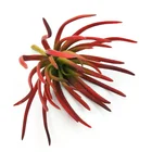 Cactus Succulents Green Plant Artificial Quality Garden Cactus Grass Simulation Green Artificial Succulents Plants