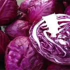 Leaf China Supply Hot Sale Natural Cabbage Powder with Good Price