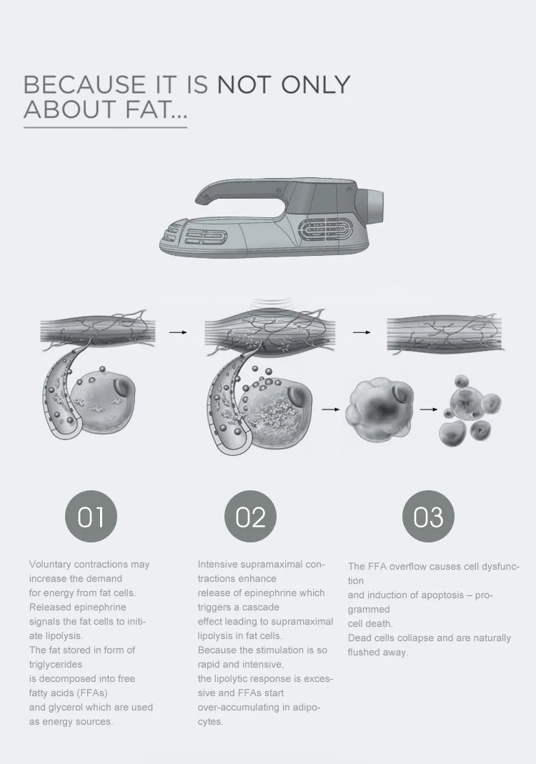 EMSlim Machine Neo 4 Handles For Body And Legs Arms Fat Burning Slimming Machine