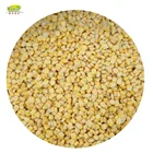 High Quality Frozen Sweet Corn Kernels Super Sweet Grade A