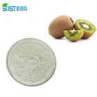 100% Natural Good Taste Fresh Dried Kiwi Fruit Powder