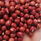 Red Beans Mung Beans Chinese Red Mung Beans Adzuki Red Beans