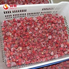 Fruit Organic Quick Frozen Hawthorn Berry Fruit