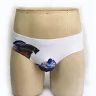 Custom Plain color polyamide mens swimwear bikini PDDME110