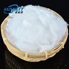3d Hollow Conjugated Polyester Staple Fiber Antibacterial fiber