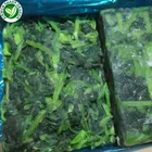 BQF China supplements wholesale market prices bulk green chopped fresh frozen spinach ball in tamil
