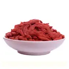 wholesale wild goji berries organic dried canned 250g
