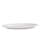 Design Disposable Plate Disposable Plates New Design Disposable Unbleached Bagasse Plate