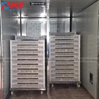 cabinet industrial herb fruit dryer with drying trays