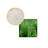 /product-detail/urea-fertilizer-46-4-nitrate-fertilizer-urea-n-46-agricultural-grade-in-china-62309405555.html
