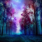 5D Diy beautiful scenery beautiful picture diamond painting cross stitch full diamond diamond painting