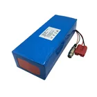 Rechargeable Ebike 48V 10Ah 15Ah Lithium 18650 Battery Pack for 750W 1000W Electric Motor