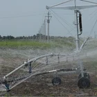 Travelling Wheels Sprinkler Irrigator Equipment Boom Hose Reel Irrigation System Used In Modern Farm