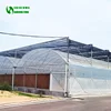 /product-detail/greenhouse-with-hydroponic-growing-system-62249013795.html