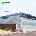 Multispan Plastic Film Greenhouse with Hydroponic Growing System for Tomato/Cucumber/Lettuce Planting