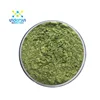 /product-detail/iso-kosher-100-natural-high-quality-dehydrated-organic-vegetable-powder-spinach-leaf-juice-extract-powder-62388221207.html