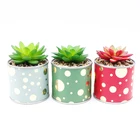 Ceramic Pot Flower Pot For Wall Bonsai Plant Flower Sale