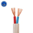 Best price flat copper core PVC insulated wire for electric tool