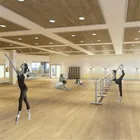 Wood Basketball Court Wood Flooring High Quality PVC Vinyl Basketball Court Wood Flooring