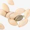 /product-detail/top-grade-cheap-pumpkin-seeds-62230584556.html