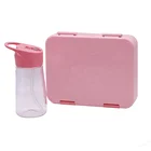Factory Wholesale plastic food storage container microwave plastic bento lunch box for kids with water bottle lunchbox