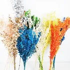 Summer Flora wholesale interior decorative flower arrangements dry white ruscus leaves natural dried flowers