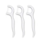 OEM service custom bulk plastic personalized dental floss toothpick