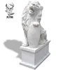 /product-detail/popular-white-marble-lion-statue-for-decoration-place-62235012386.html