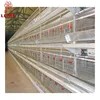 /product-detail/h-type-poultry-cages-equipment-sale-for-philippines-broiler-chicken-farming-60523039027.html