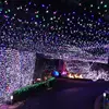 Super Bright Decorative String Lights Outdoor LED wedding Christmas meeting Lighting Canada