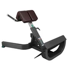 Bench chair / chair gym / roman chair for sale M