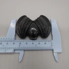 Wholesale Black Obsidian Bat Carved Figurines natural crystal carving for Decoration