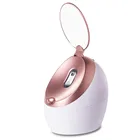 New Professional Hot Mist Nourishing Face Household Ozone Mini Nano Spray Ionic Facial Steamer for Beauty Skin Care
