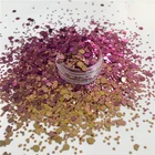 Factory Bulk Wholesale Poly Nail Art Decoration Color Shifting Chunky Mix Glitter