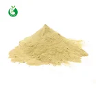 Natural Powder Leafpowder Mangiferin Natural Mango Leaves Extract Powder 98% Mangiferin Supply
