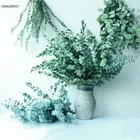 Flowers Flowers Eucalyptus Leaf Natural Home Party Wedding Decorations Dried Flowers China Yunnan Factory Batch Shipment