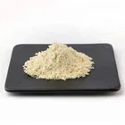 Wholesale Organic black pepper extract 95% piperine powder