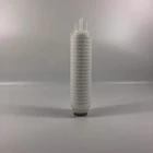 Filter Element China 0.1micron 10 Inch Pp Membrane Microporous Folded Filter Cartridge / Filter Element
