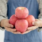 Premium fresh apple fruits Fuji variety apples from High quality production