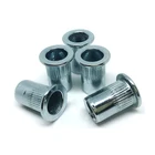 M10 1.25 Lantern Insert Hexagon Hex Close End Hand Tool Flat Head Knurled Rivet Nut
