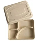 Latest Promotion Price Disposable 4 Compartment Sugarcane Bagasse Dishes Compostable Biodegradable Plates