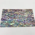 Abalone Shell Abalone Decoration Paua Shell Sheets Floor Plate Clam The Fan Soft Shell Paper